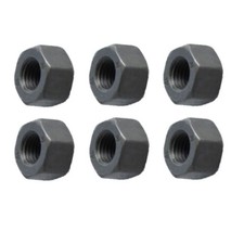 Nut Type 4 Case Set of 6