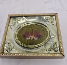 Lantern Fly Shadow Box Frame