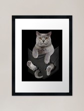 Funny British Shorthair Cat in