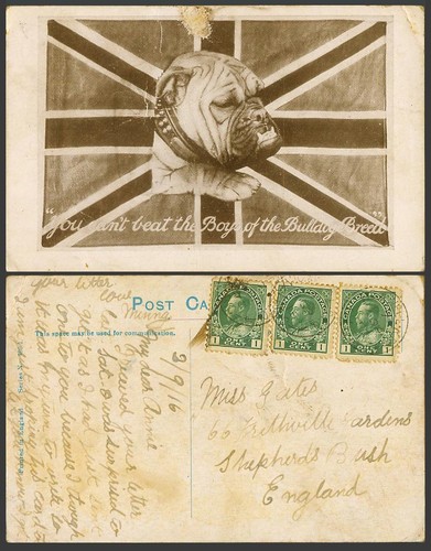 Ww1 bull dog british flag - dog,