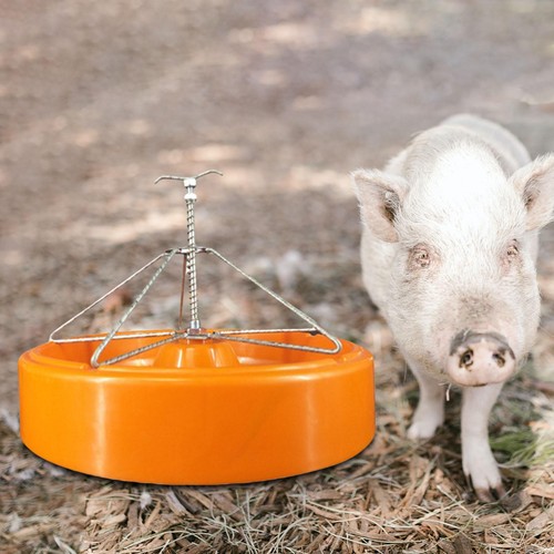 Pig food trough piglet - food,