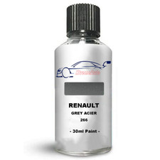 Touch Up Paint For Renault