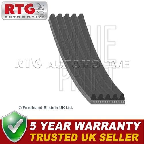 Alternator belt fits - alternator,