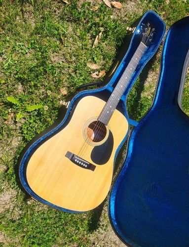 Takamine 200 series - , (?)