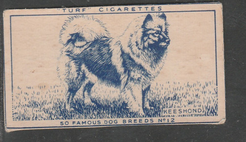 1951 carreras turf - famous, dog
