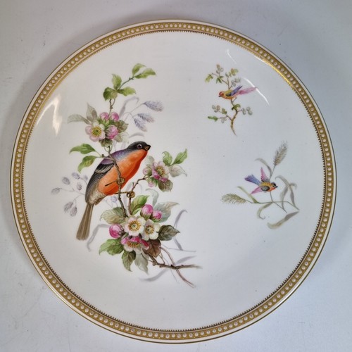 Antique royal worcester plate - royal,