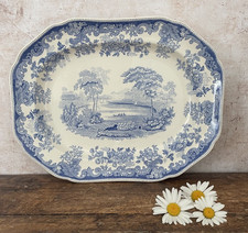 Spode Rhine Large 37cm 14”