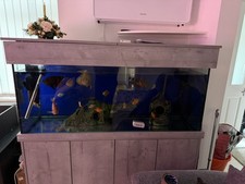 5ft Fish Tank with Cabinet and
