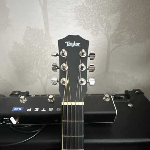 Taylor baby string - taylor,