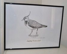 David Lloyd- Bird Print