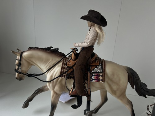 Custom model horse youth - youth, show