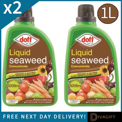 Doff liquid seaweed - 2, plant