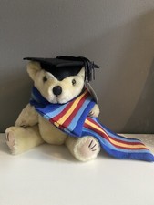 University Mascot Graduation