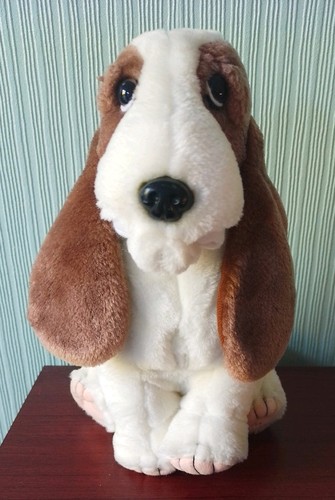 Hush puppies bassett - bassett, hound