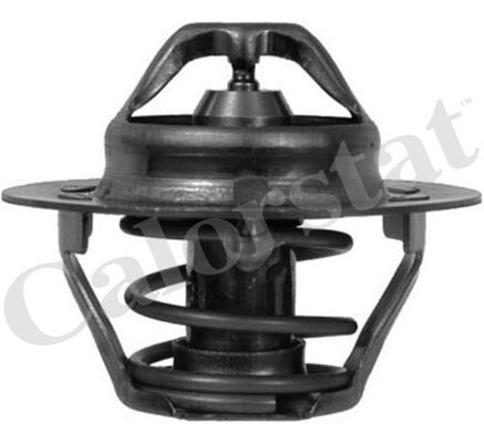 New thermostat coolant for vw - thermostat,,