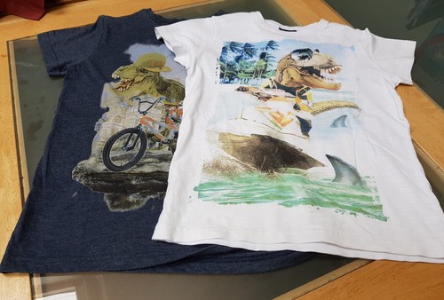 Boys dinosaur next - next, t-shirts
