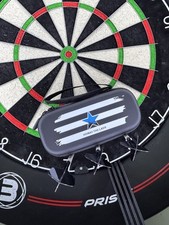 Newcastle Darts Case