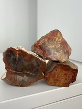 330g Petrified Wood Set of 3