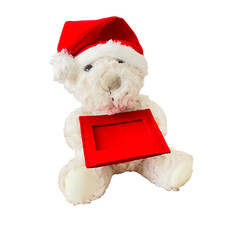 Christmas Cuddly Teddy Bear