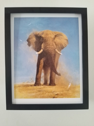 David shepherd elephant print - david,
