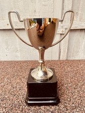 🏆 Silver Swatkins Trophy