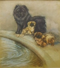 VINTAGE CHOW DOG & PEKINESE
