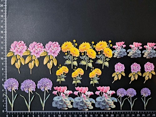 Multi coloured assorted - multi,