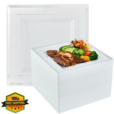 Vplus 90 Silver Plastic Plates