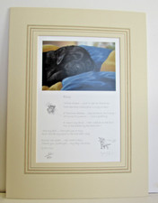 Black Labrador Puppy Limited Edition Print 'Bliss' by Paul Doyle Mounted