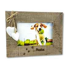 Dog Cat New Puppy Kitten