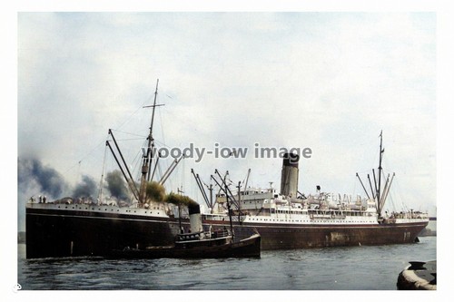 Azc0023 shaw savill liner - savill,