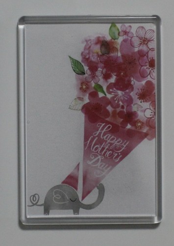 Extra large fridge magnet - extra,