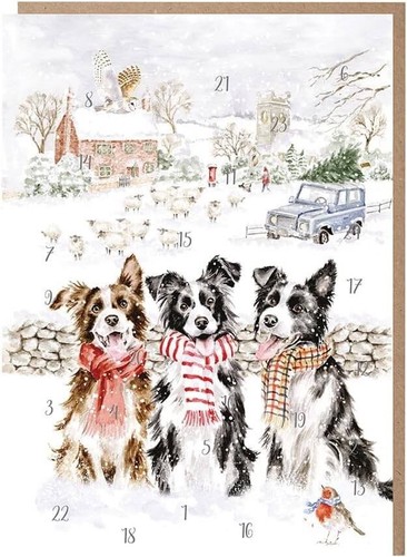 Wrendale advent calendar - wrendale,