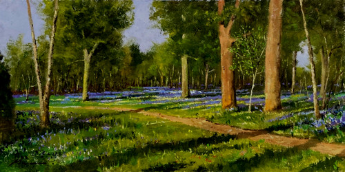 The bluebell glade - "the,