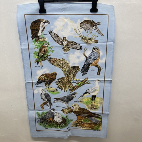 Vintage style birds prey - of,