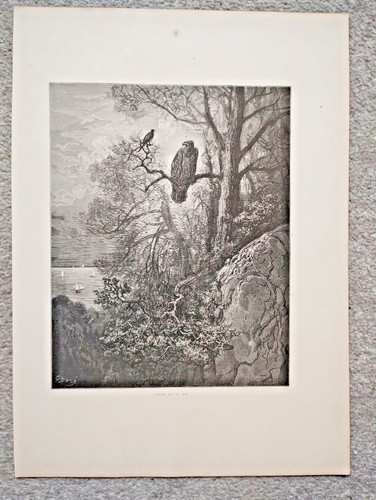 The eagle and magpie - the,