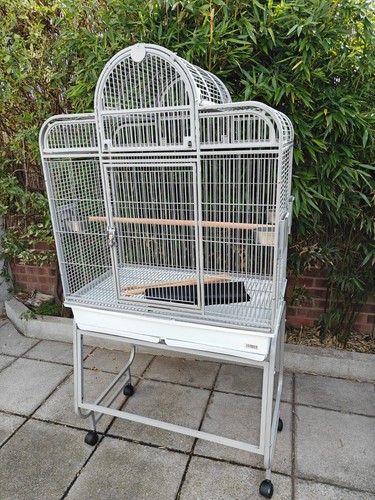 Rainforest cages santa - rainforest,