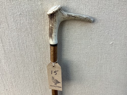 Red deer antler walking hazel - antler,