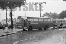 35mm black and white - black,