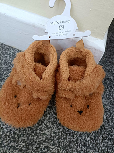 Next baby brown bear - next,