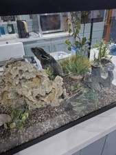 Glass Aquarium With Filter And