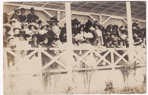 Rppc 1909 royal - rppc, show