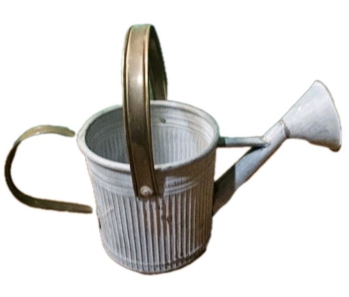 Galvanized watering can - galvanized,
