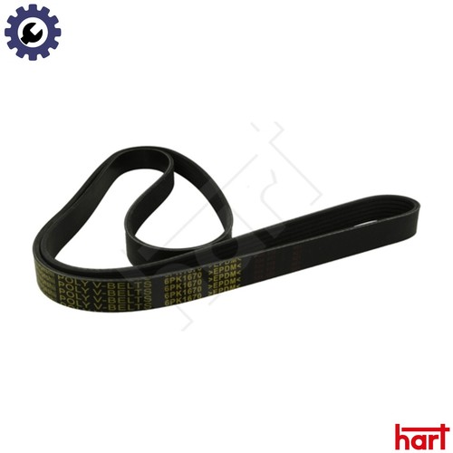 Vribbed belt 368 - belt, 956