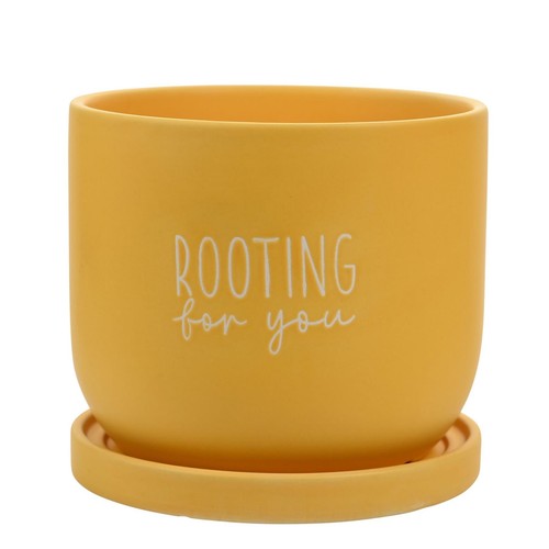 Ceramic plant pot - ceramic, funny