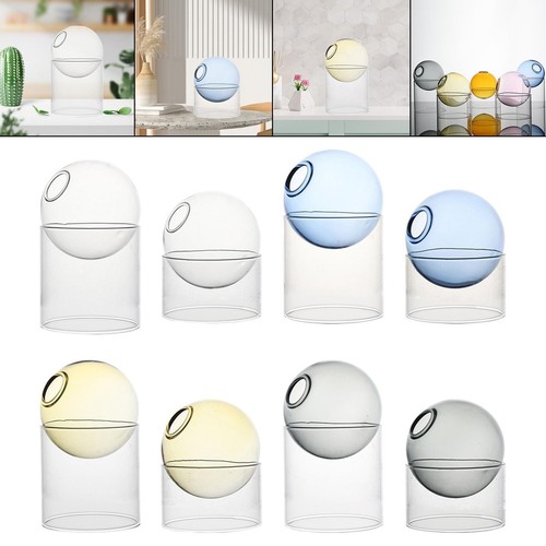Transparent glass hydroponic - transparent,