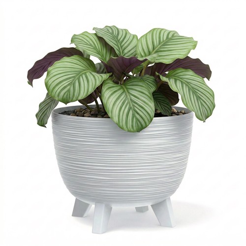 Plant pot with legs 29cm - with,