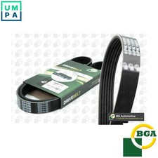 VRIBBED BELT 6PK1695 FOR VW