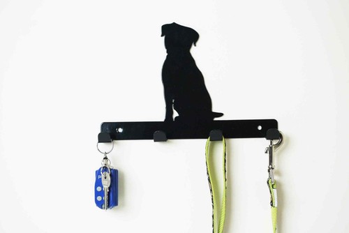 Border terrier dog lead - dog,
