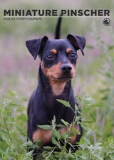 Miniature Pinscher Calendar